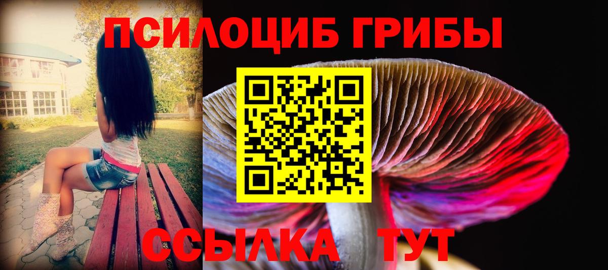 Галлюциногенные грибы Psilocybe Нижневартовск